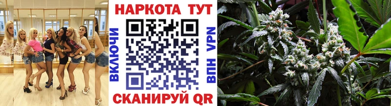Меф Кологрив