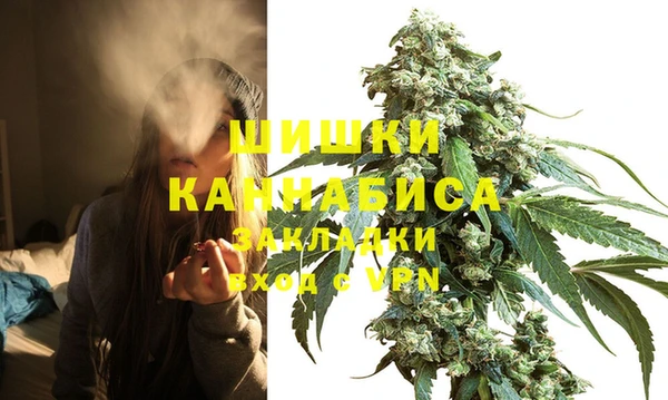 прущий лед Богородицк