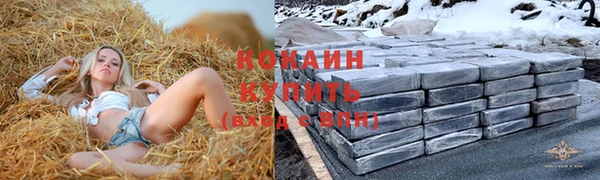 молекула духа Богородск