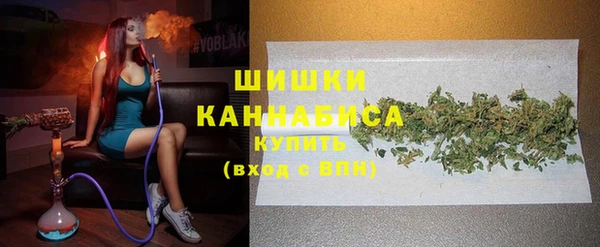 винт Арсеньев