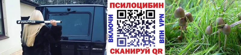 Псилоцибиновые грибы прущие грибы  shop клад  Кологрив 
